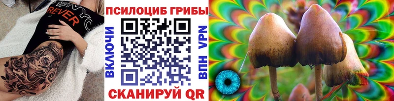 Галлюциногенные грибы Magic Shrooms  мега сайт  Мглин  закладки 